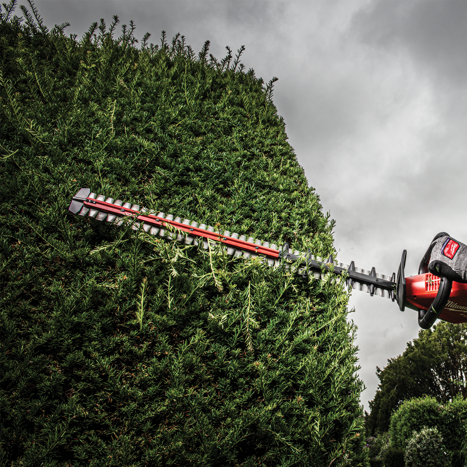 34554-milw-750mm-hedge-5.jpg