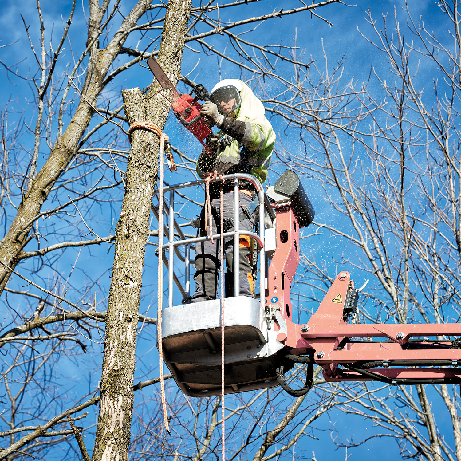 35280-mil-chainsaw-5.jpg