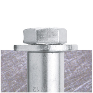 bolt_safety_anchor1.jpg