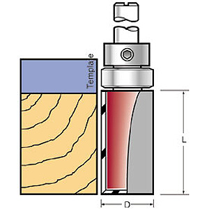 tct_profile_guide.jpg
